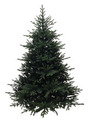 Juletre Basis 350 LED 210 cm